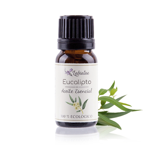 Aceite esencial de Eucalipto Radiata - 12 ml